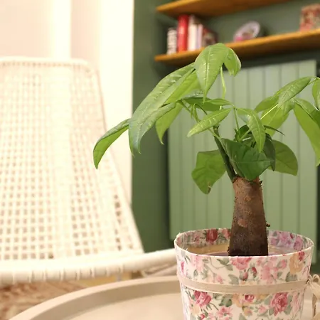 Casa Leonardo - Centro - Free Parking - Free Wi-fi - 10