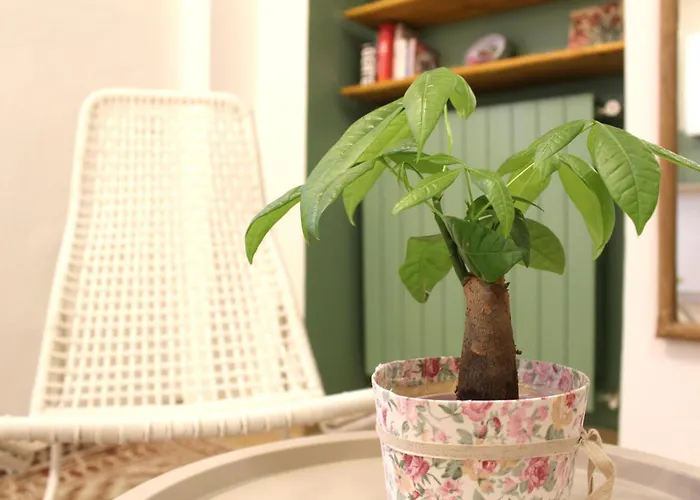 Casa Leonardo - Centro - Free Parking - Free Wi-fi - 10